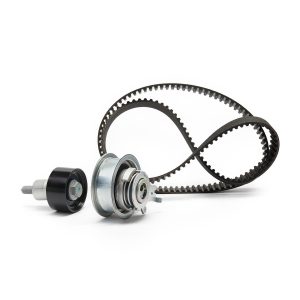 INA 530 0592 11 Kit Cinghia di Distribuzione