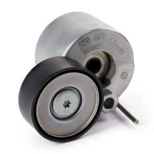 INA 534 0728 10 Tenditore Cinghia Servizi